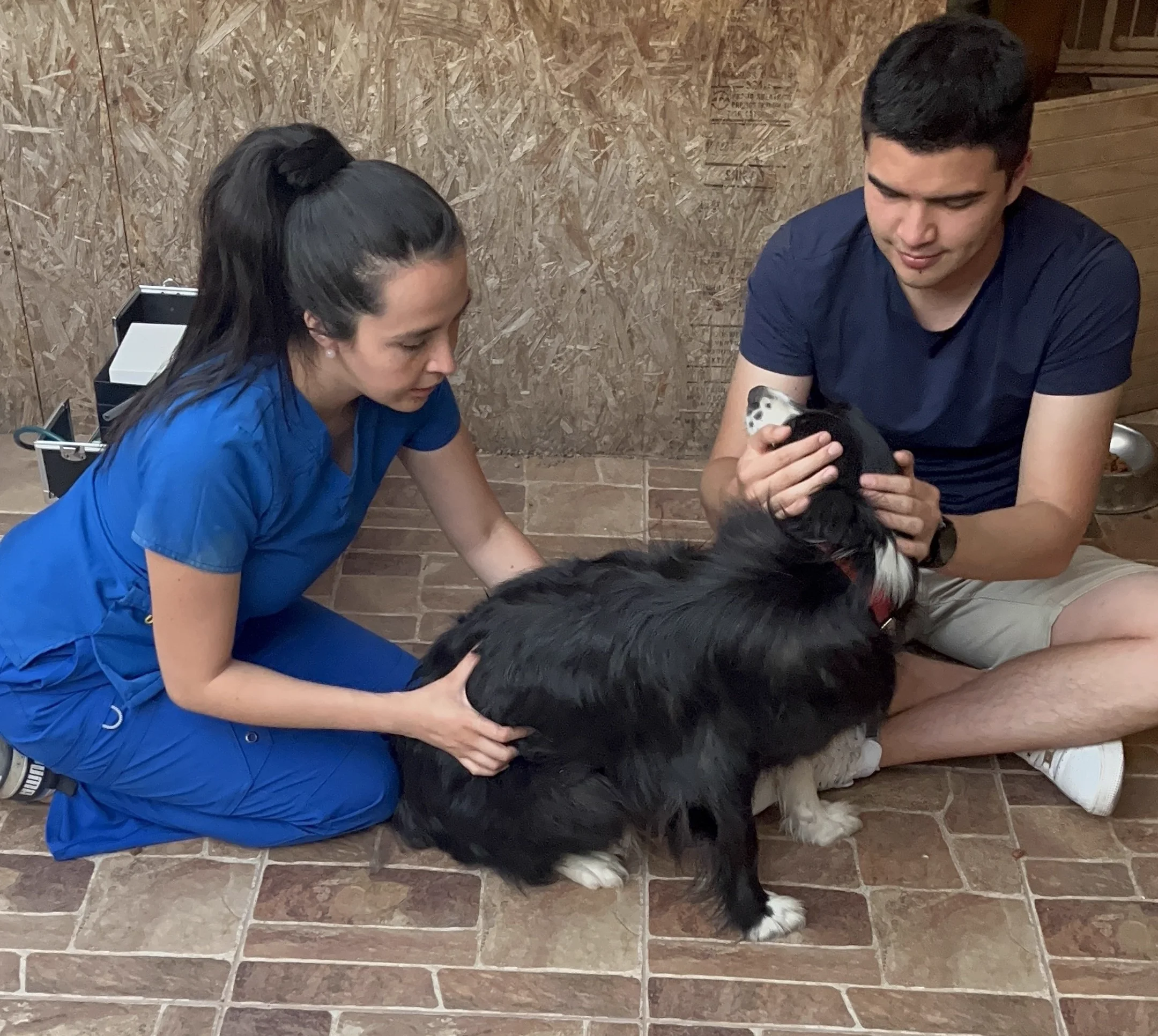 ¿Por qué elegir Veterinaria Móvil FC?